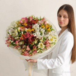 «Букет 25 альстромерий»