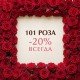 «101 роза — скидка 20% на любой сорт»