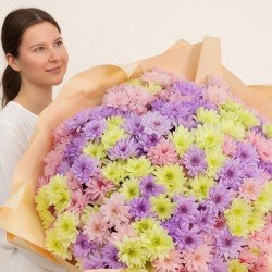 «51 кустовая хризантема»