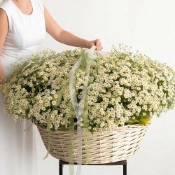 «Джульетта»