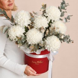 «Мирабель»
