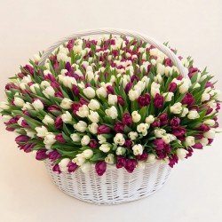 «Корзина 501 тюльпан»